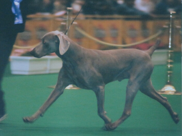 f:id:jerich:20180822031323j:plain