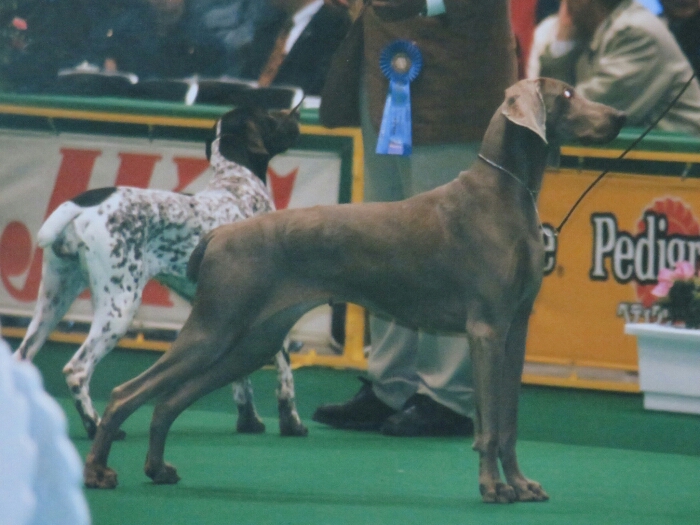 f:id:jerich:20180822031331j:plain