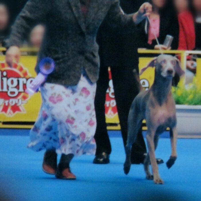 f:id:jerich:20180822031430j:plain