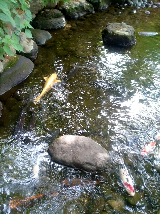 f:id:jerich:20180827014635j:plain