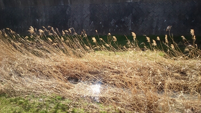 f:id:jerich:20180827014639j:plain