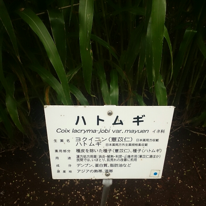 f:id:jerich:20180828013345j:plain