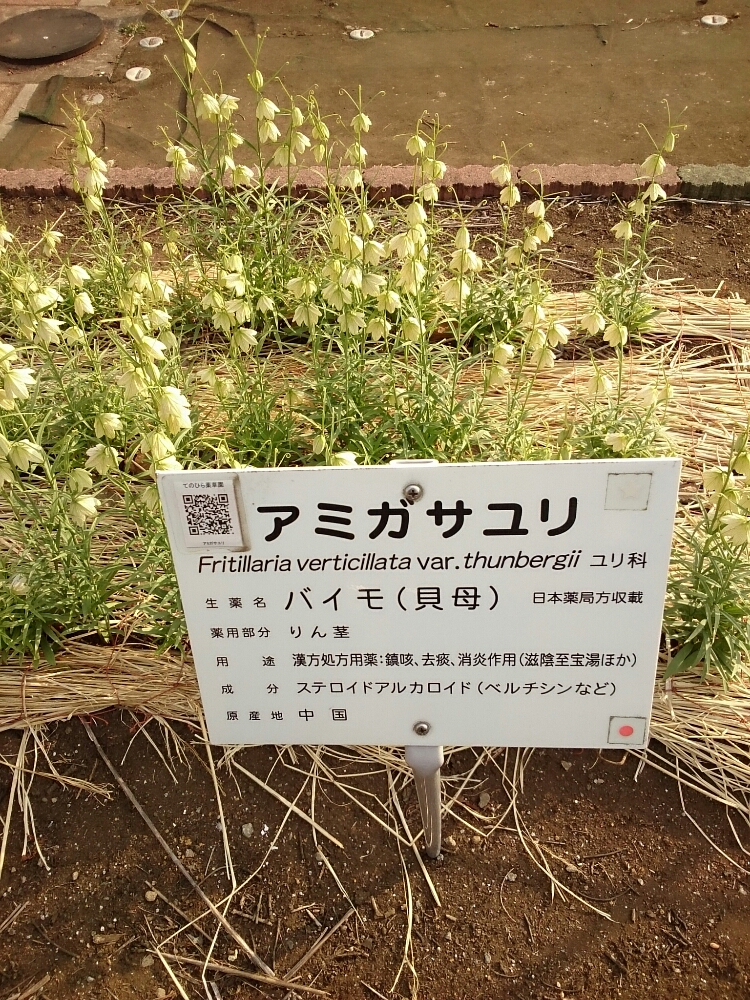 f:id:jerich:20180828013348j:plain