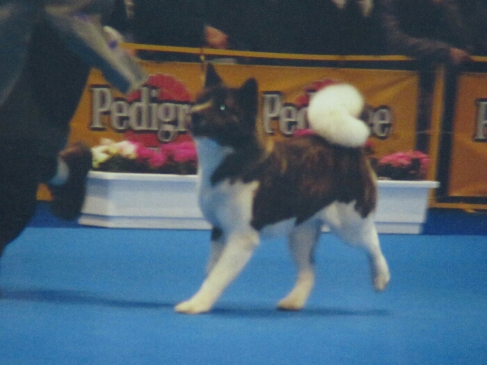 f:id:jerich:20180901013228j:plain f:id:jerich:20180901013228j:plain