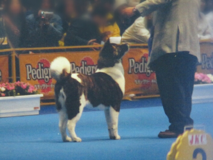 f:id:jerich:20180901013232j:plain f:id:jerich:20180901013232j:plain