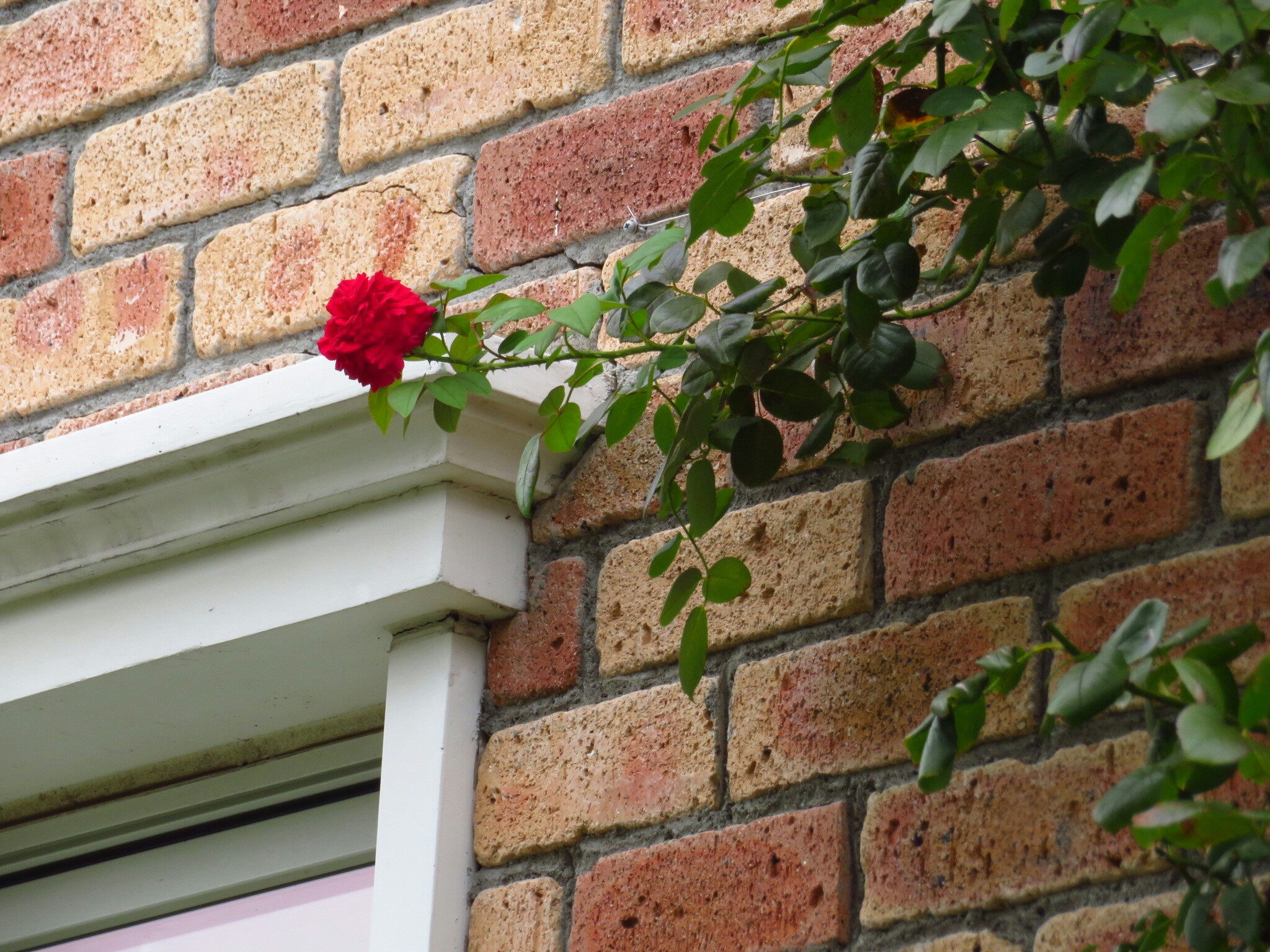 f:id:jerich:20180904010533j:image