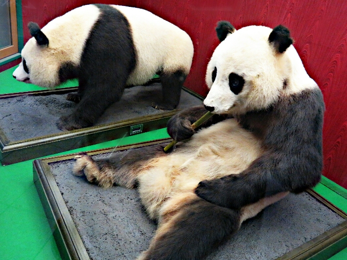 f:id:jerich:20180909025448j:plain f:id:jerich:20180909025448j:plain