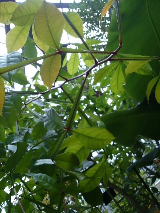 f:id:jerich:20180920023524j:plain