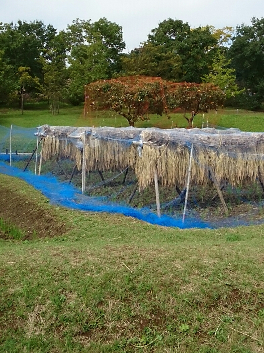 f:id:jerich:20180920023529j:plain