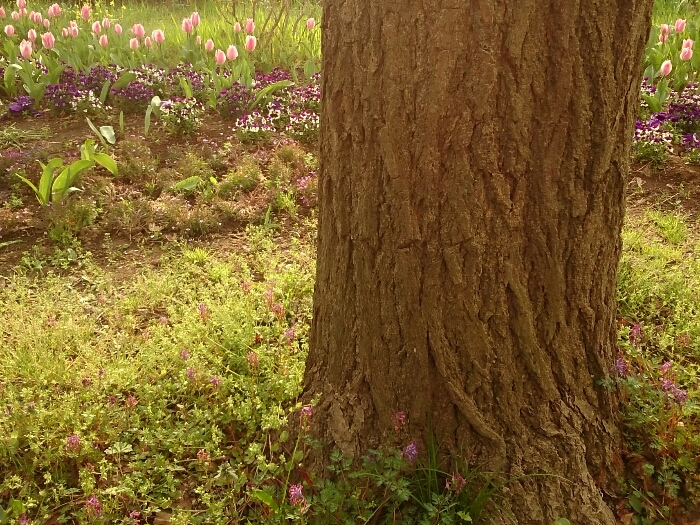 f:id:jerich:20180920023828j:plain