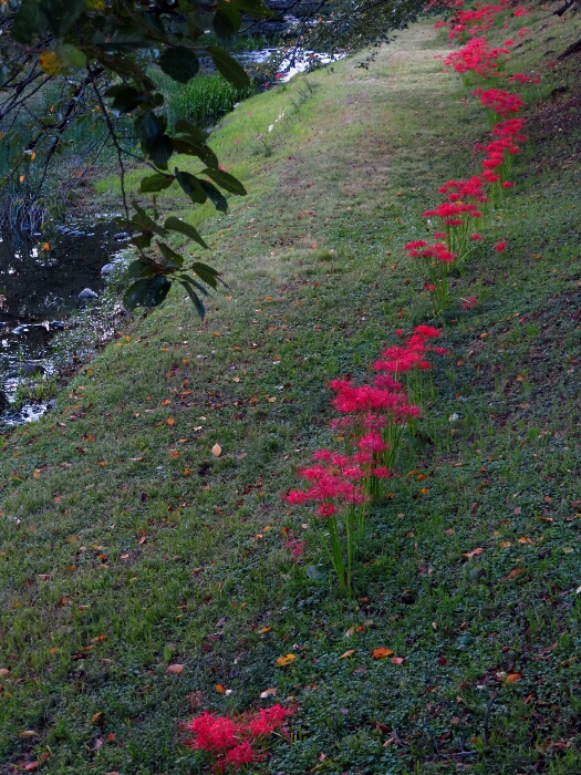 f:id:jerich:20180923051139j:plain f:id:jerich:20180923051139j:plain