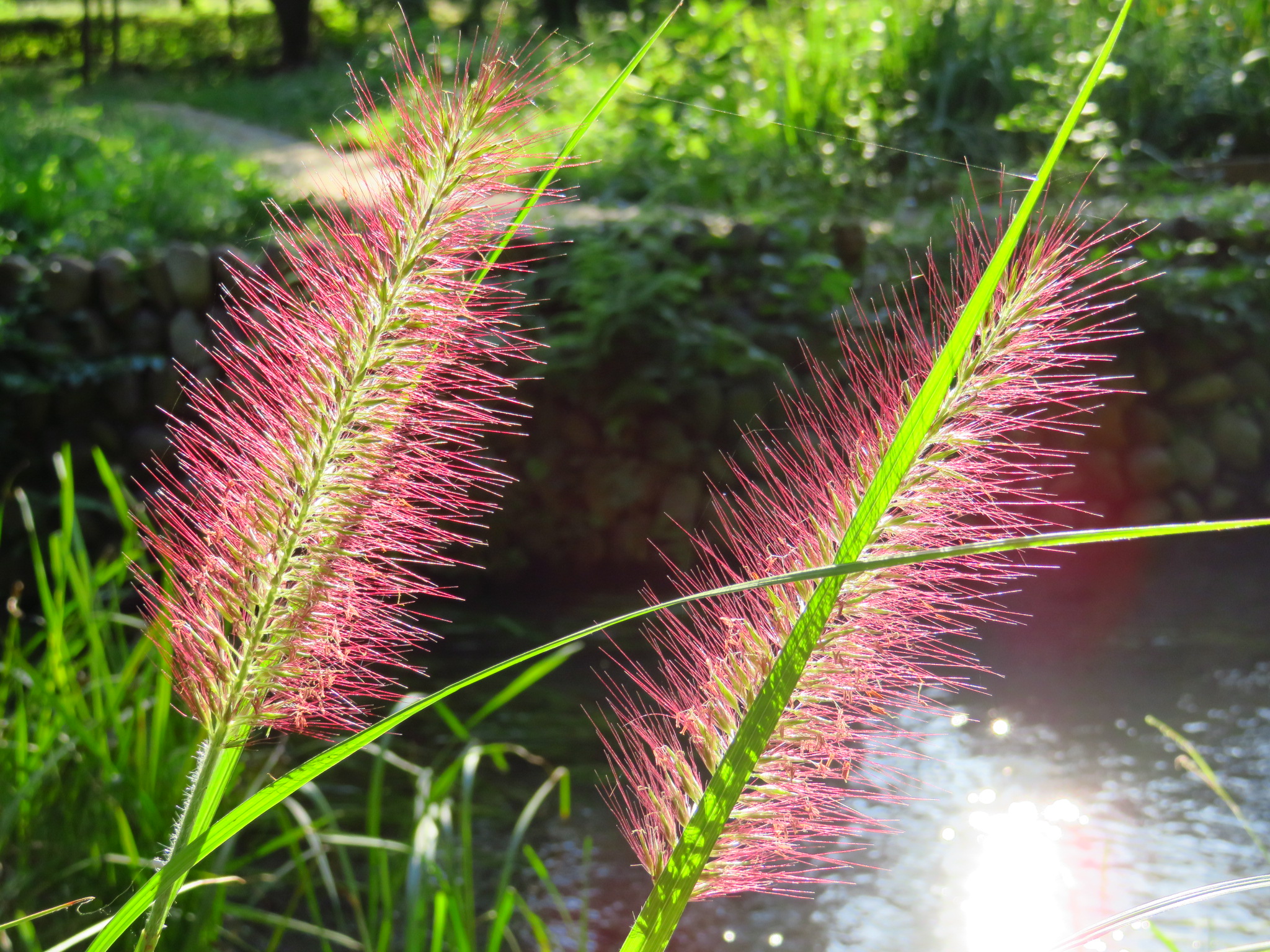 f:id:jerich:20181001012001j:image