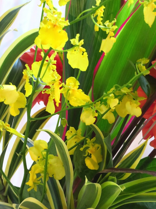 f:id:jerich:20181005001748j:plain