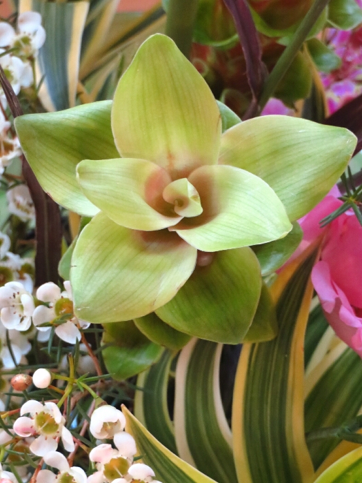 f:id:jerich:20181005003723j:plain