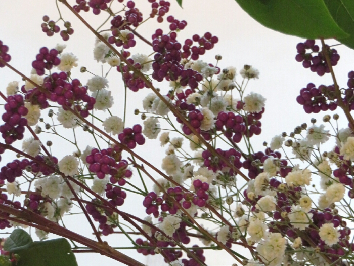 f:id:jerich:20181005011808j:plain