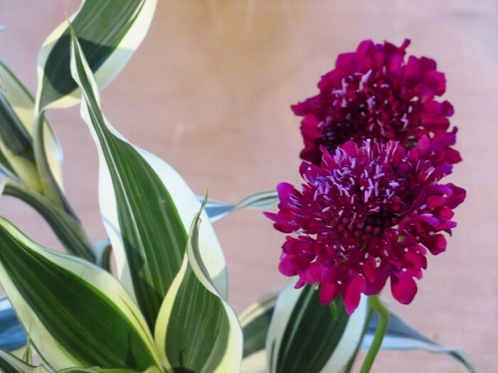 f:id:jerich:20181005023418j:plain