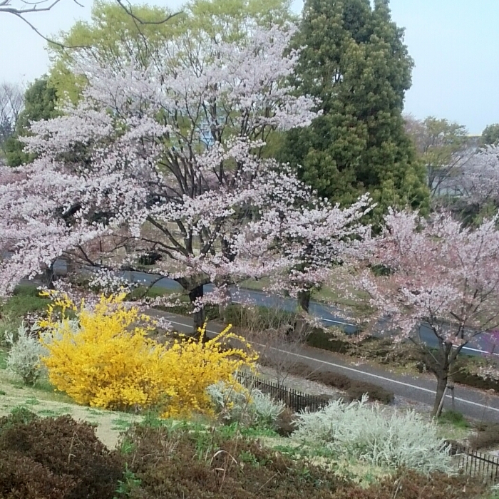 f:id:jerich:20181005042553j:plain f:id:jerich:20181005042553j:plain