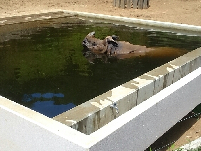 f:id:jerich:20181005042749j:plain f:id:jerich:20181005042749j:plain