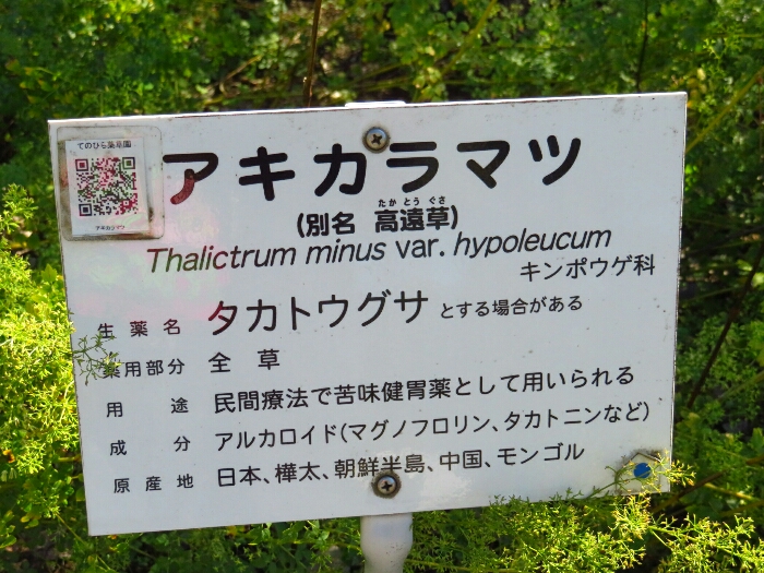 f:id:jerich:20181018051404j:plain