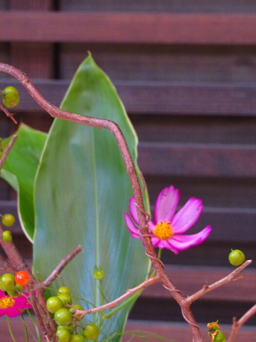 f:id:jerich:20181023023210j:plain