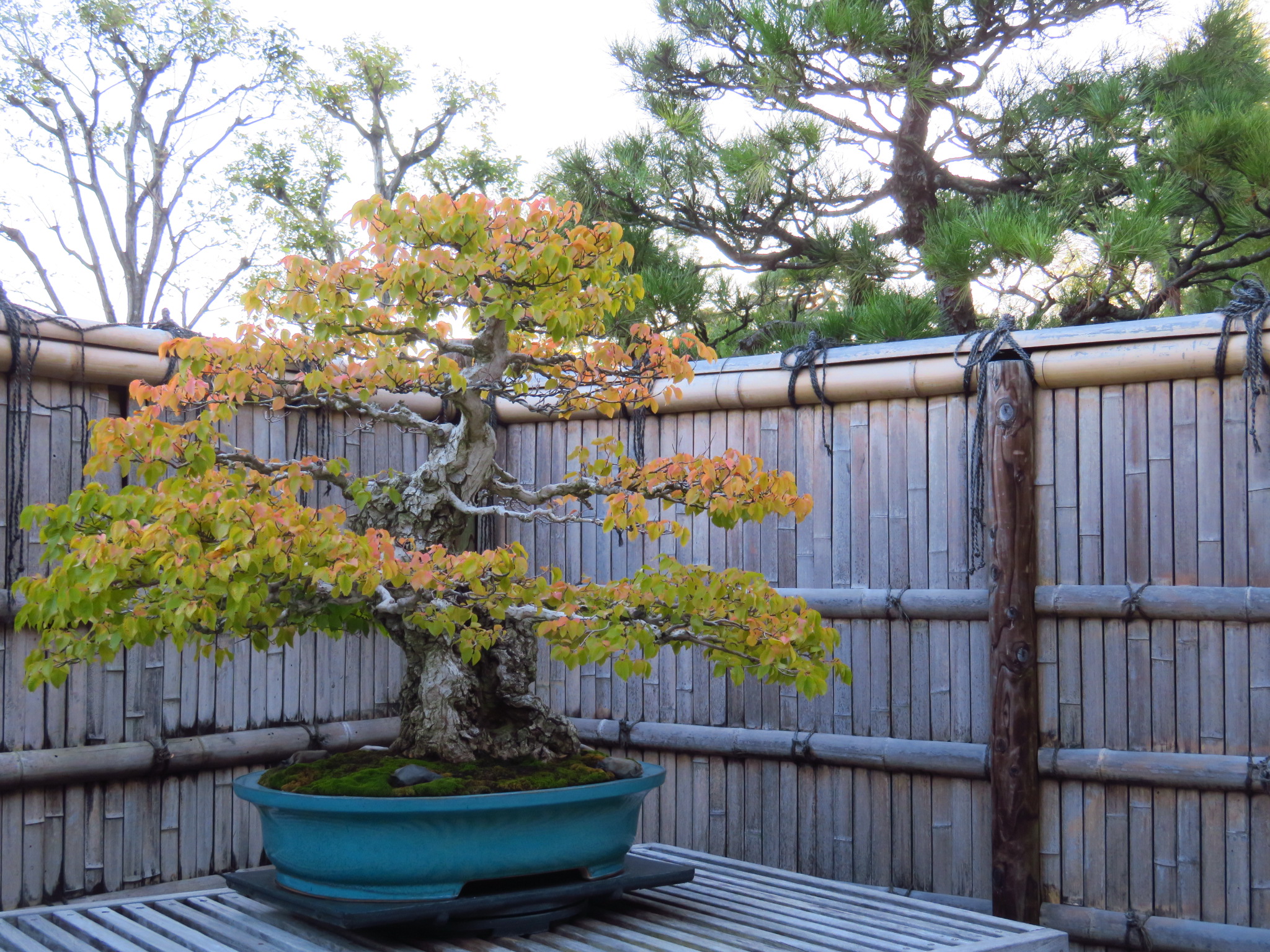 f:id:jerich:20181025235505j:image