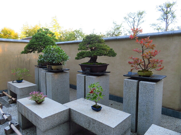 f:id:jerich:20181026002425j:plain