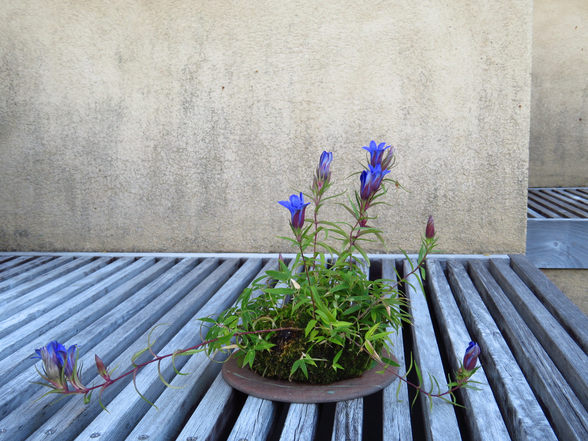 f:id:jerich:20181026002547j:image