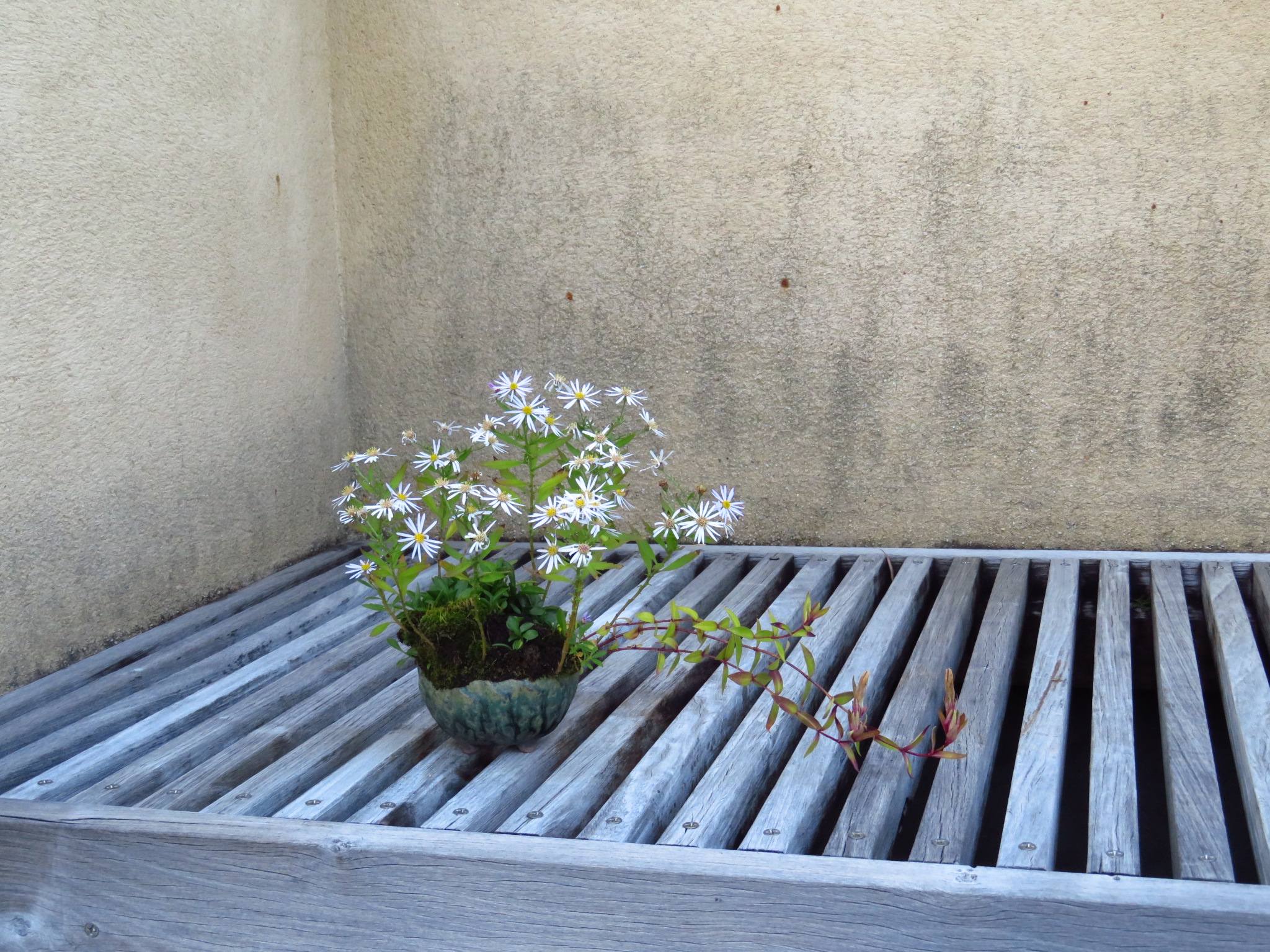 f:id:jerich:20181026002551j:image