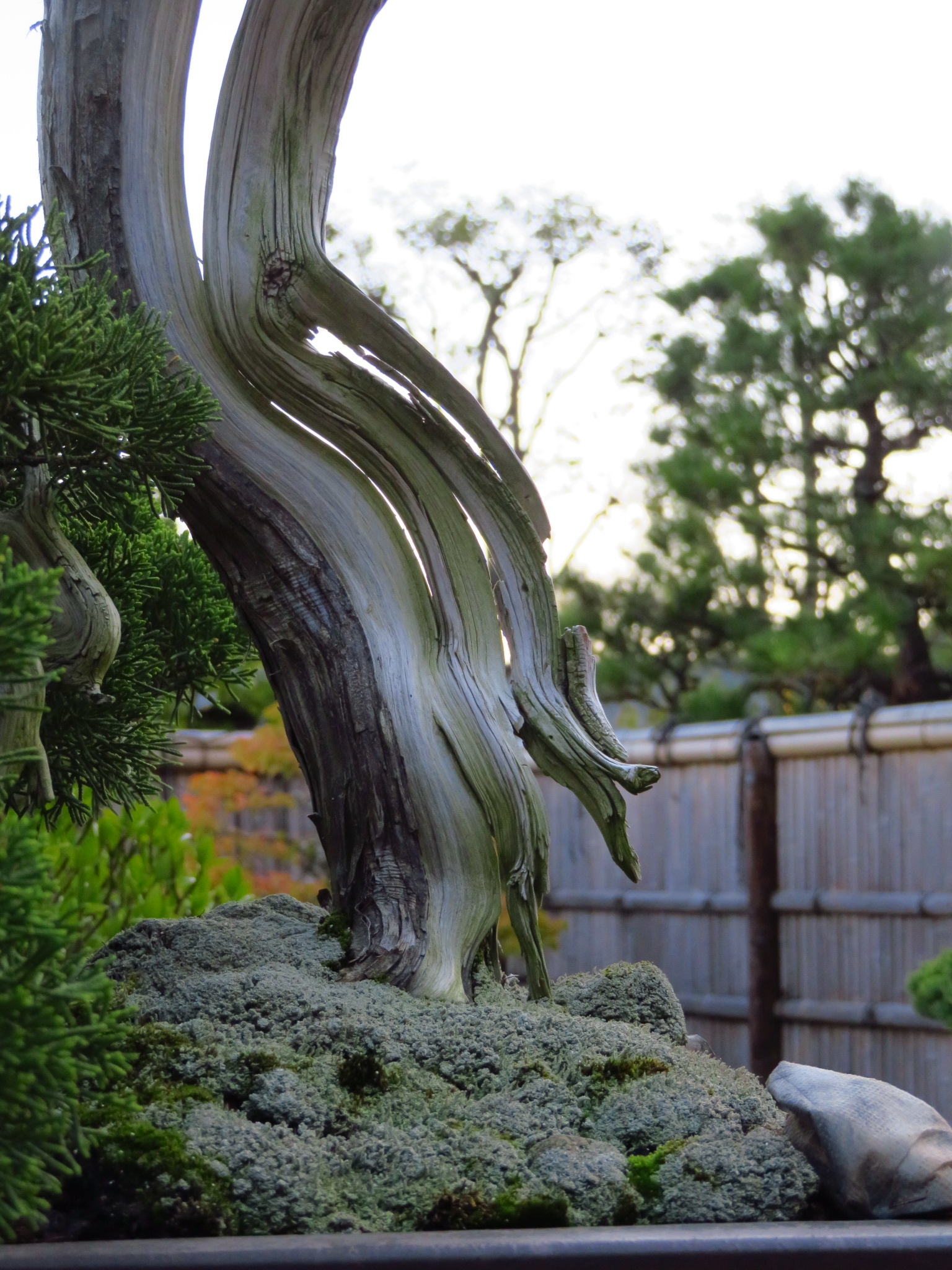 f:id:jerich:20181026010249j:image