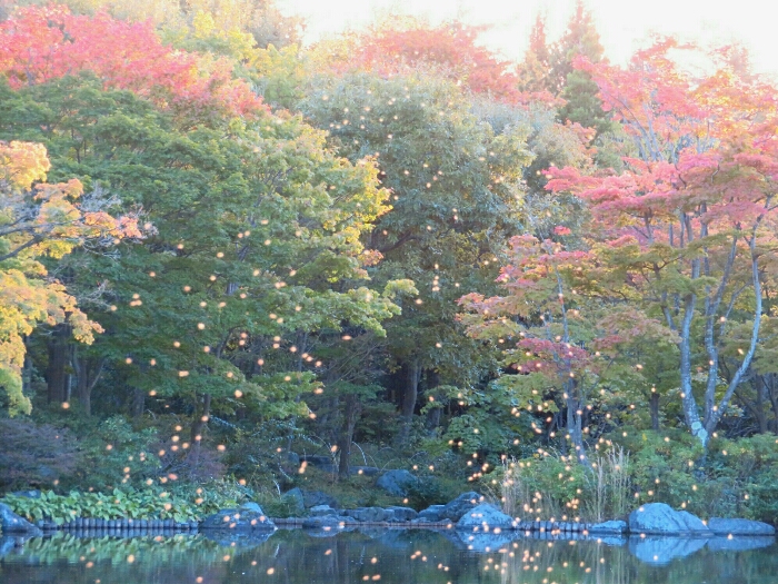 f:id:jerich:20181026023540j:plain