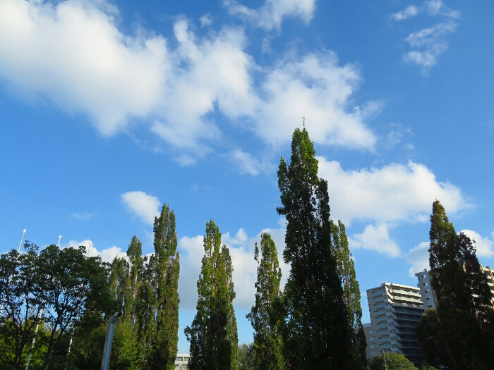f:id:jerich:20181029080821j:plain f:id:jerich:20181029080821j:plain