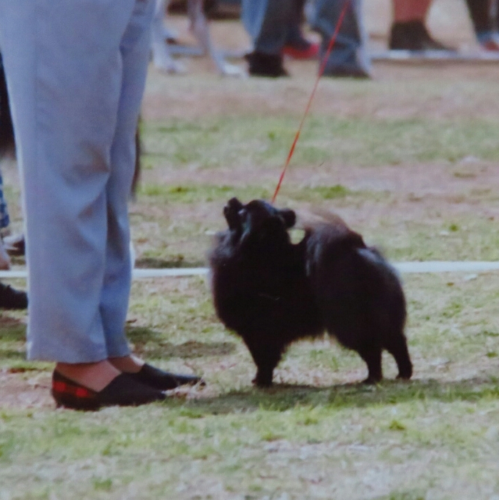 f:id:jerich:20181101030435j:plain