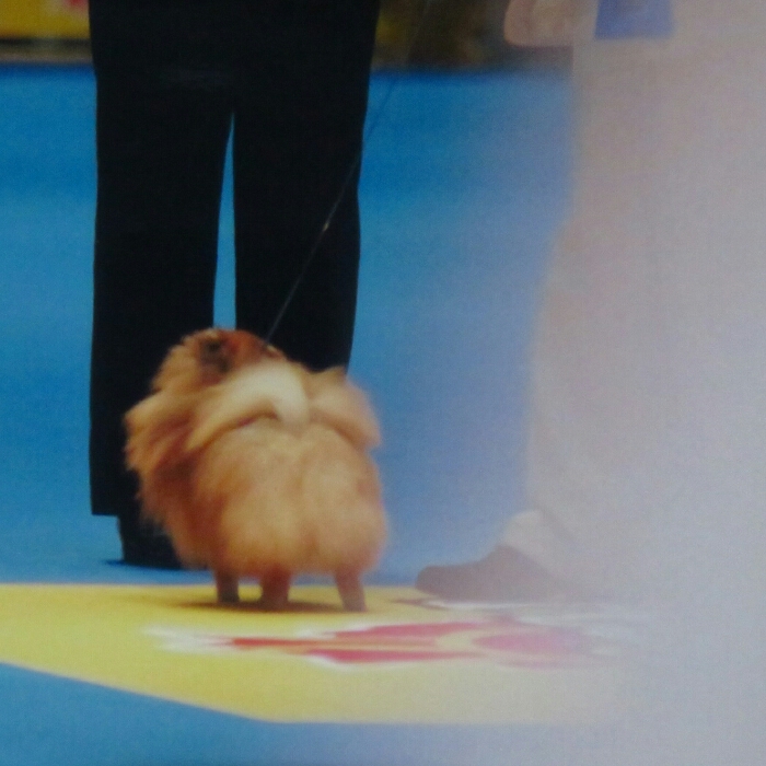 f:id:jerich:20181101030437j:plain