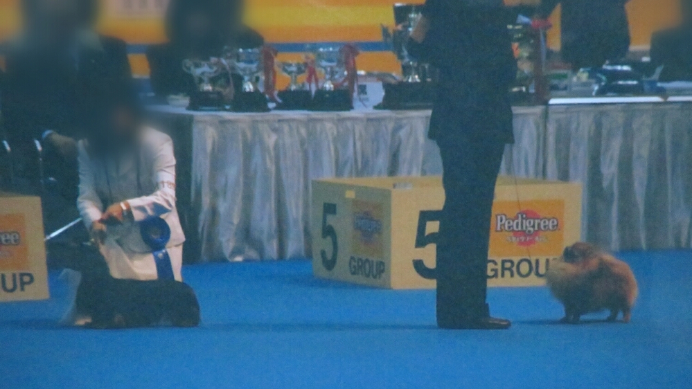 f:id:jerich:20181101030440j:plain