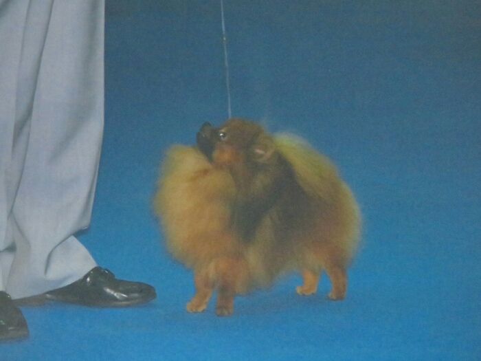 f:id:jerich:20181101030506j:plain