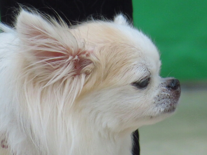 f:id:jerich:20181109065336j:plain f:id:jerich:20181109065336j:plain