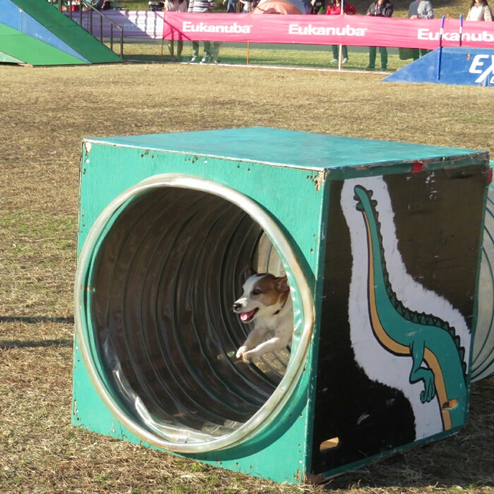 f:id:jerich:20181119031237j:plain f:id:jerich:20181119031237j:plain