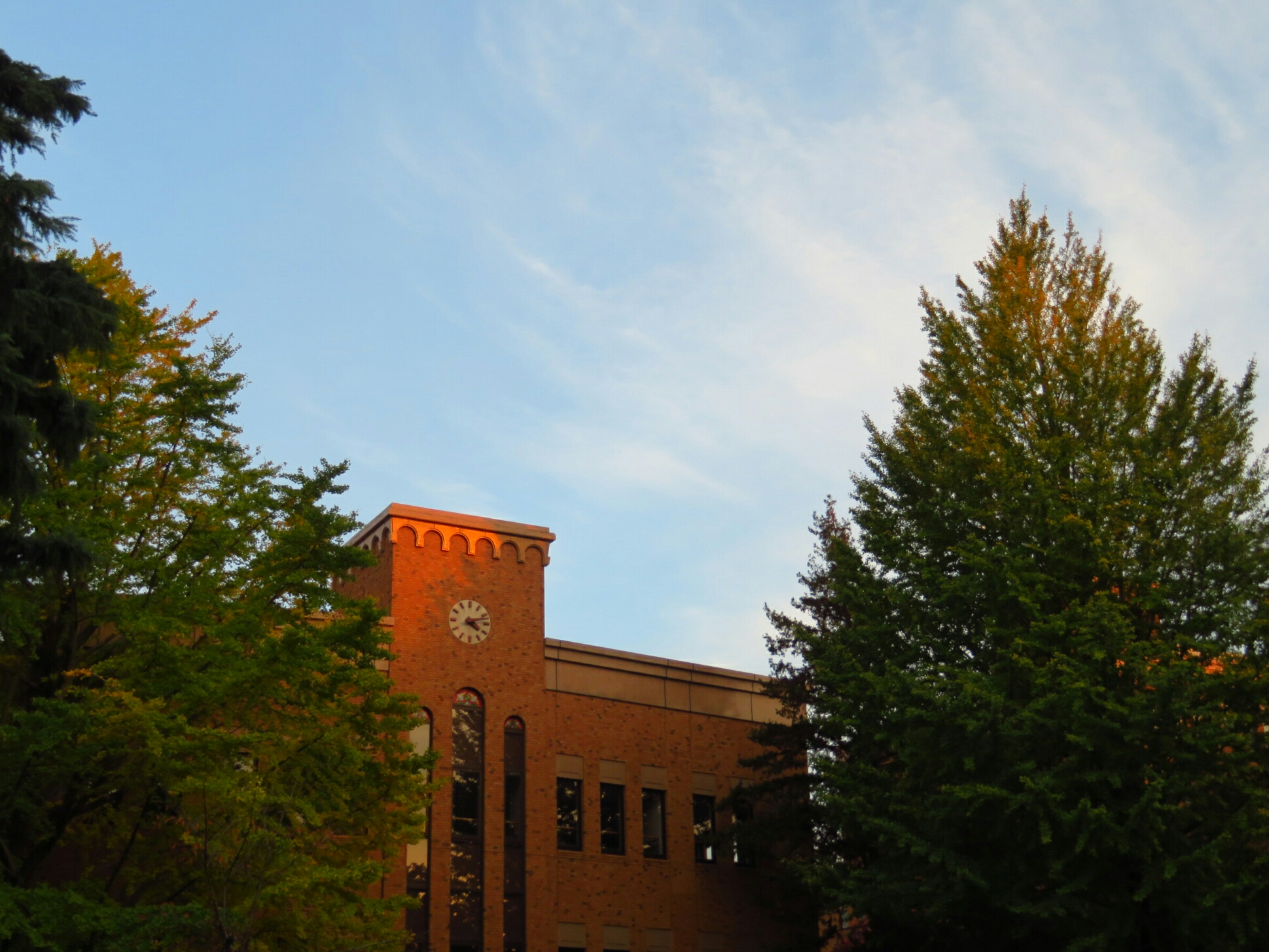 2018年11月撮影 一橋大学