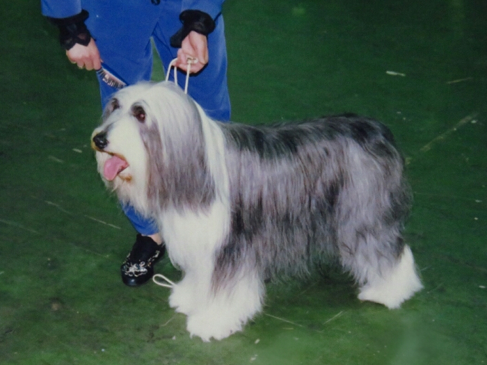 f:id:jerich:20181212014337j:plain