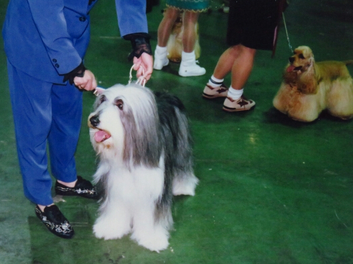 f:id:jerich:20181212014339j:plain