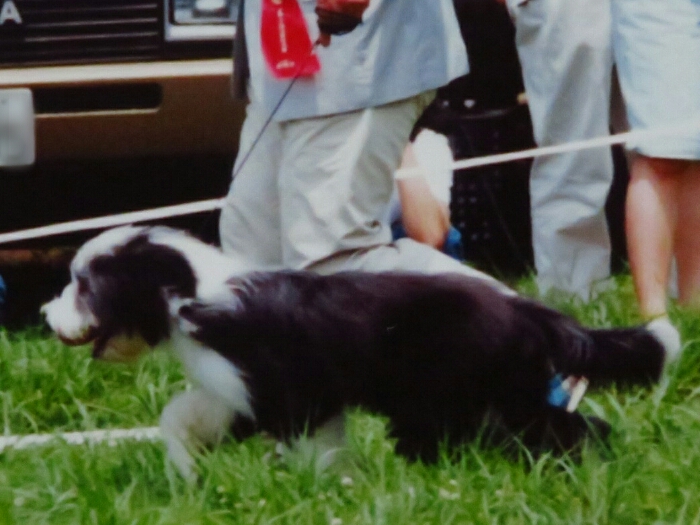 f:id:jerich:20181212014342j:plain