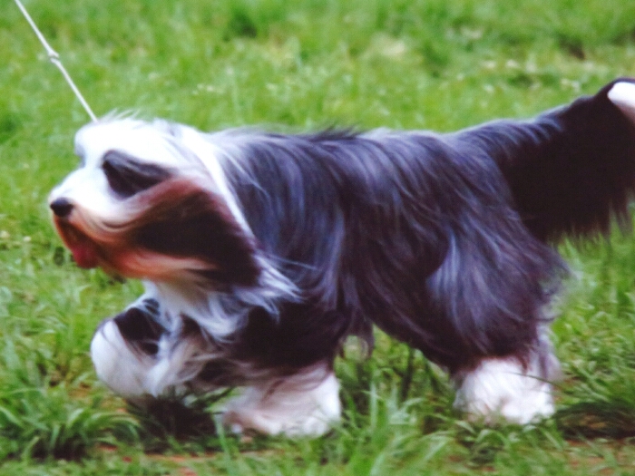 f:id:jerich:20181212014344j:plain