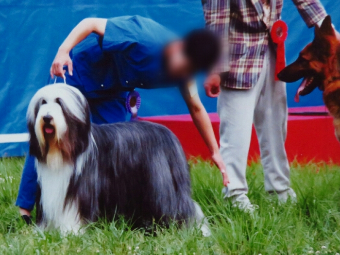 f:id:jerich:20181212015322j:plain