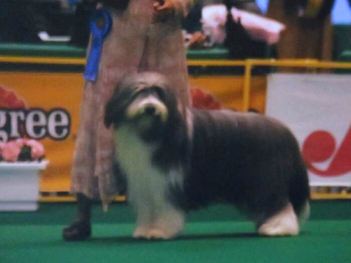 f:id:jerich:20181212015329j:plain