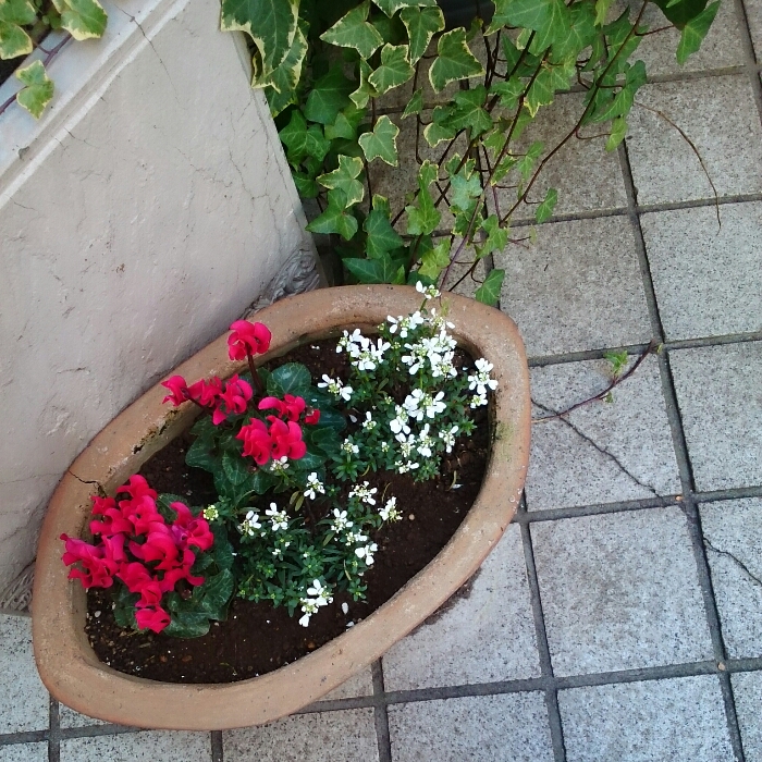 f:id:jerich:20181223103031j:plain f:id:jerich:20181223103031j:plain
