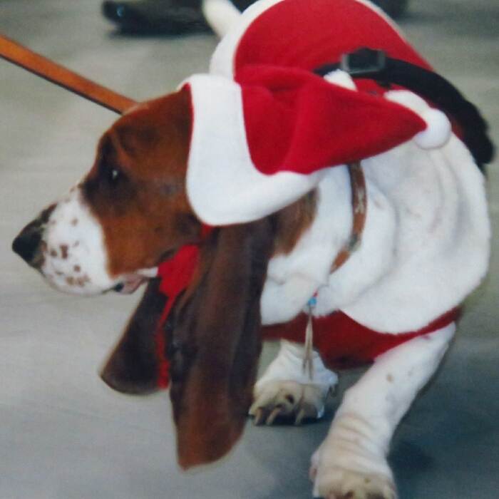 f:id:jerich:20181224025715j:plain