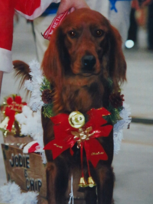 f:id:jerich:20181224025717j:plain