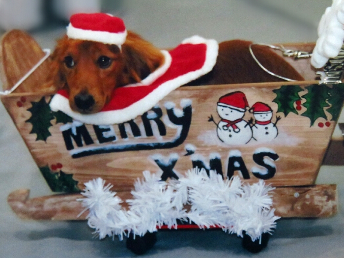 f:id:jerich:20181224025739j:plain