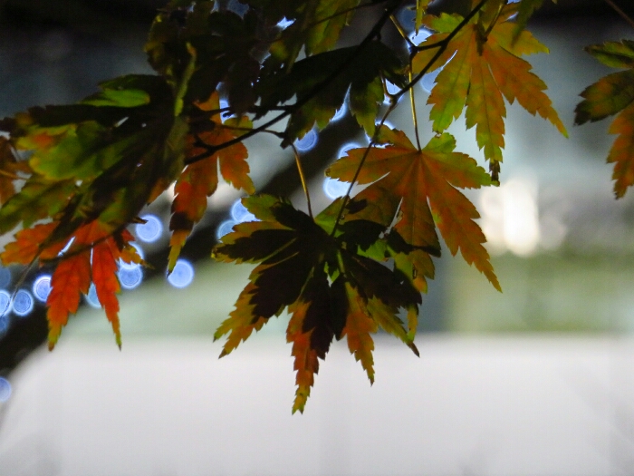 f:id:jerich:20181225032158j:plain