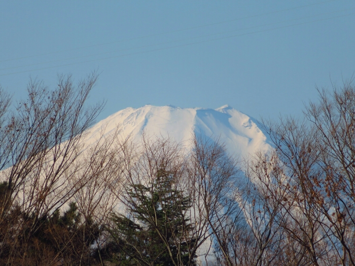 f:id:jerich:20190105023241j:plain